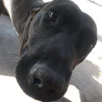 coco_oficial.1