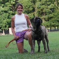 fallon_boerboels