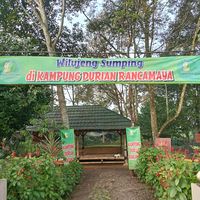 kampungdurianrancamaya