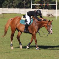 equestrian_annalene