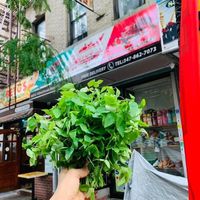 romerofruitmarket