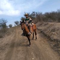 camiloibarra6729