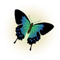 clubdetransformacion