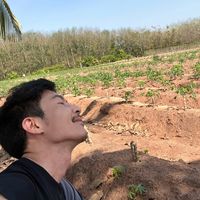 เสียงต้นฉบับ - NCBM