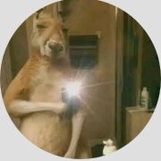 7jeferson.alegadrando7