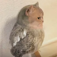 original sound - autogenics_