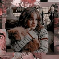 jenapotter_