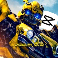 original sound - bumblebee_edits18