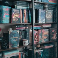 _chroniclesofabookworm_