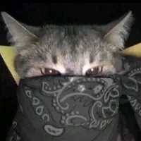 original sound - favoritelyricsjg