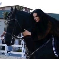 original sound - zmajevo srce