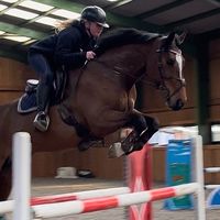 rosieswainequestrian