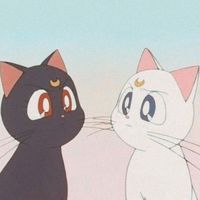 aestheticx.cookiex