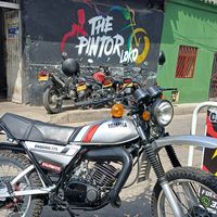 thepintorlokooficial