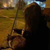 sanechkaw222