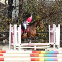 beccayoungeventing