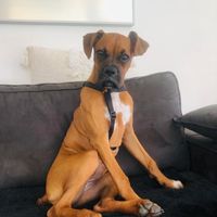 poupie_1234