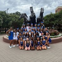 nmstallioncheer