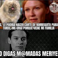 sonido original