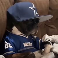 nfl_jt