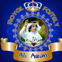 ali_awan351