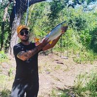 pliniopesca