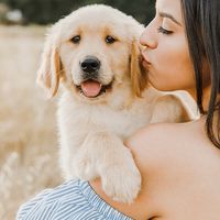 pawsthatchose