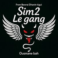sim2.224