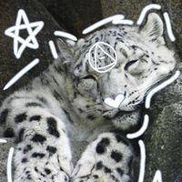 leo_star96