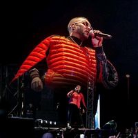 الصوت الأصلي