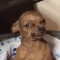 original sound - katavious._