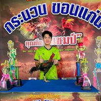 tor_nantawat