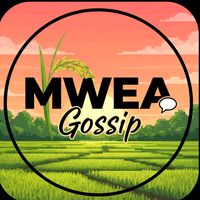 mweagossip254