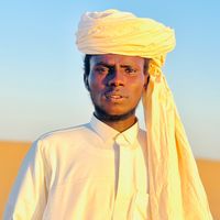 الصوت الأصلي