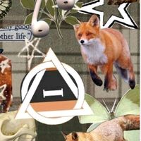 for3stfox