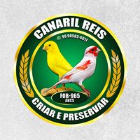 canaril_reis