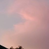 suara asli - Par