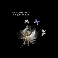 original sound - halayqamar