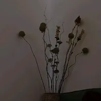 original sound - autumnblooms.8