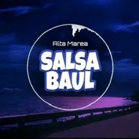 original sound - salsa_baul015