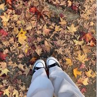 _.holidays_22