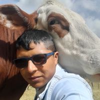 estebanpachajoa15