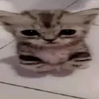 original sound - find_temitasss