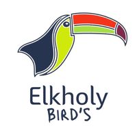 omar_elkholy_