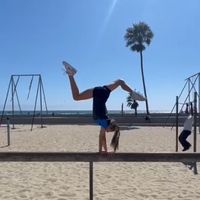 gymxlivv