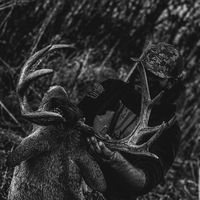 therussbuck
