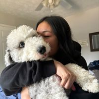 avassecretaccountshushie