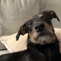 bubbbertooo