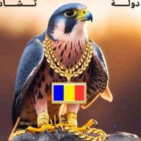 الصوت الأصلي - Bichara Mogory