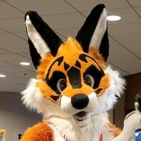 foxshenanigans